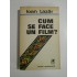 CUM  SE  FACE  UN  FILM?  -  Ioan  Lazar 
